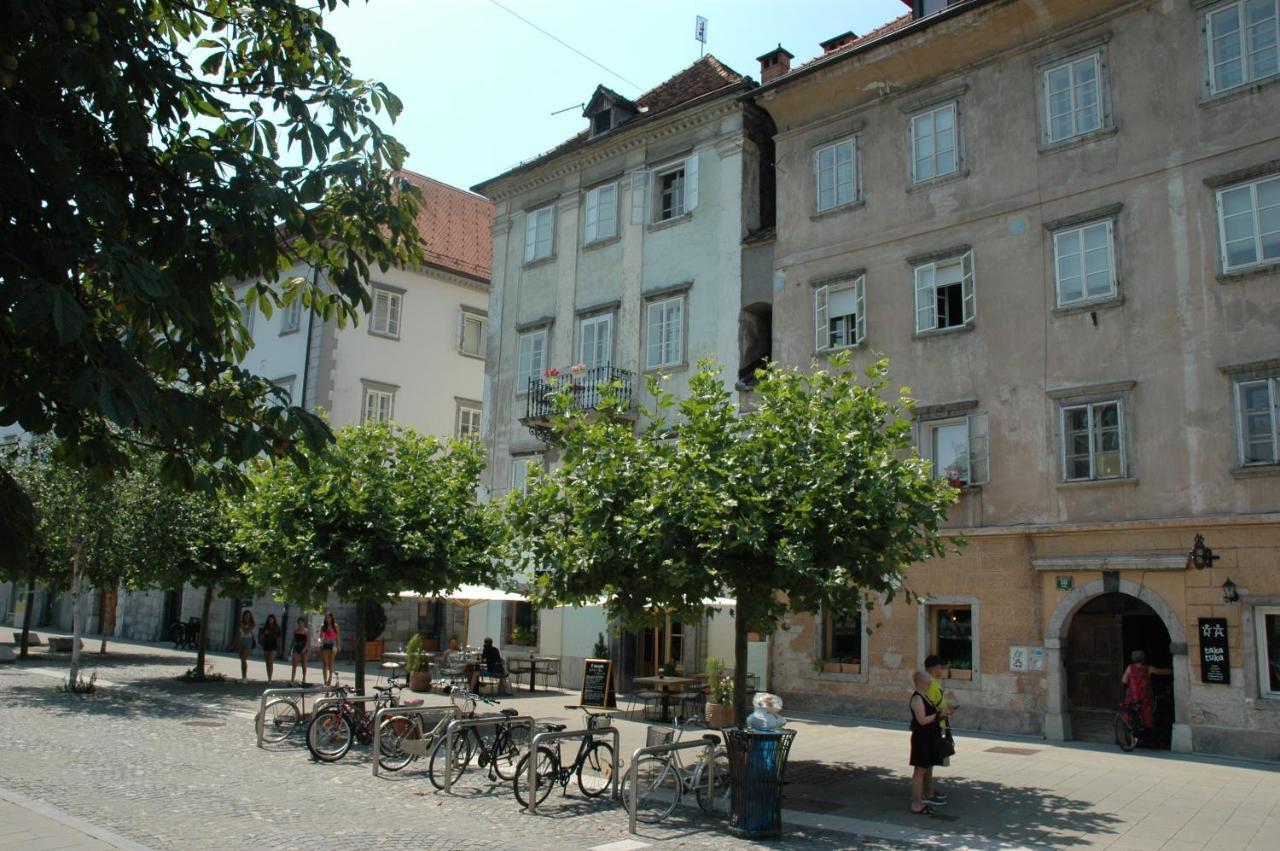 Vitez Apartment I 卢布尔雅那 外观 照片